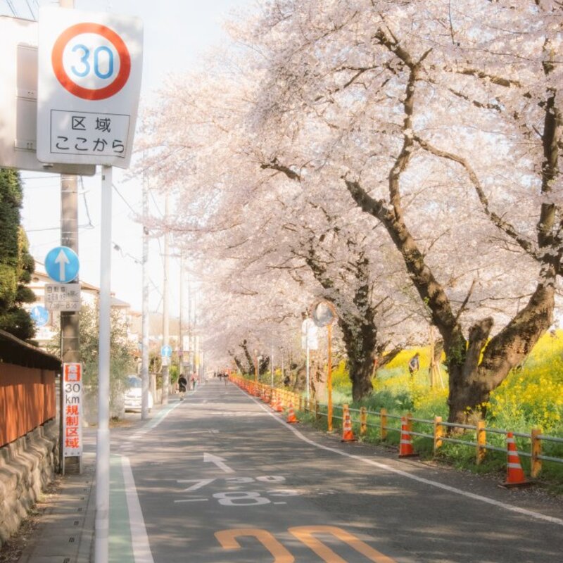 街歩き、ときどき歴史部