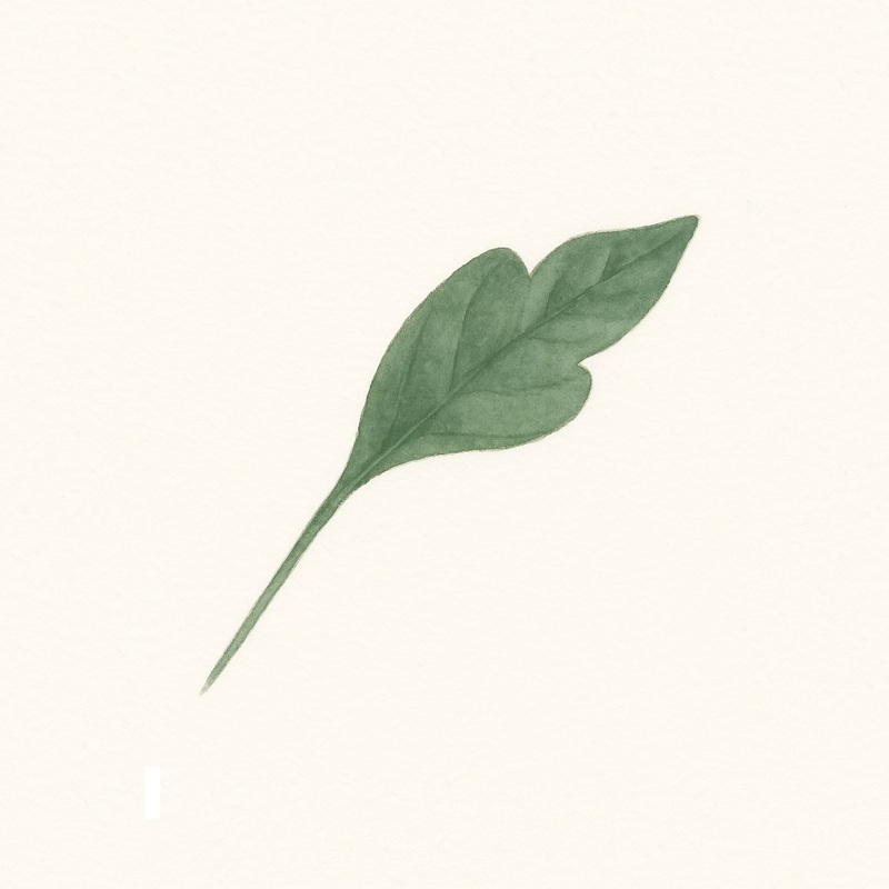 山活ハートレイル（関西）