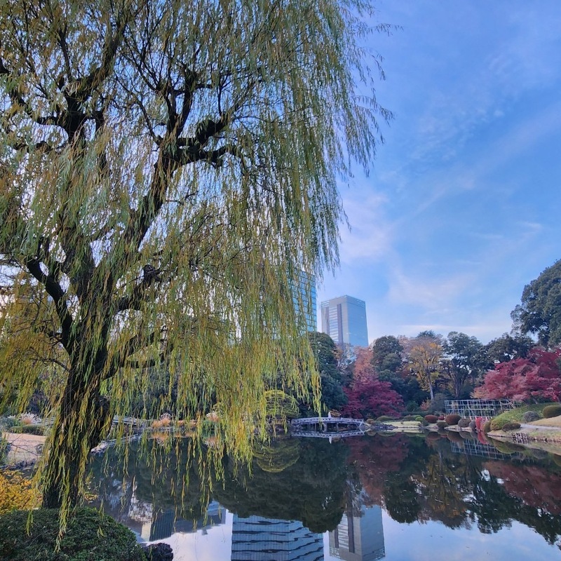 💫🏃走って繋がる大人の社交場