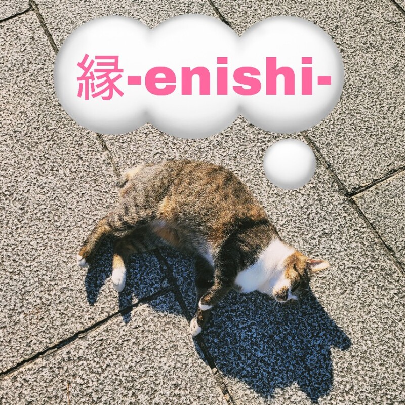 縁-enishi-