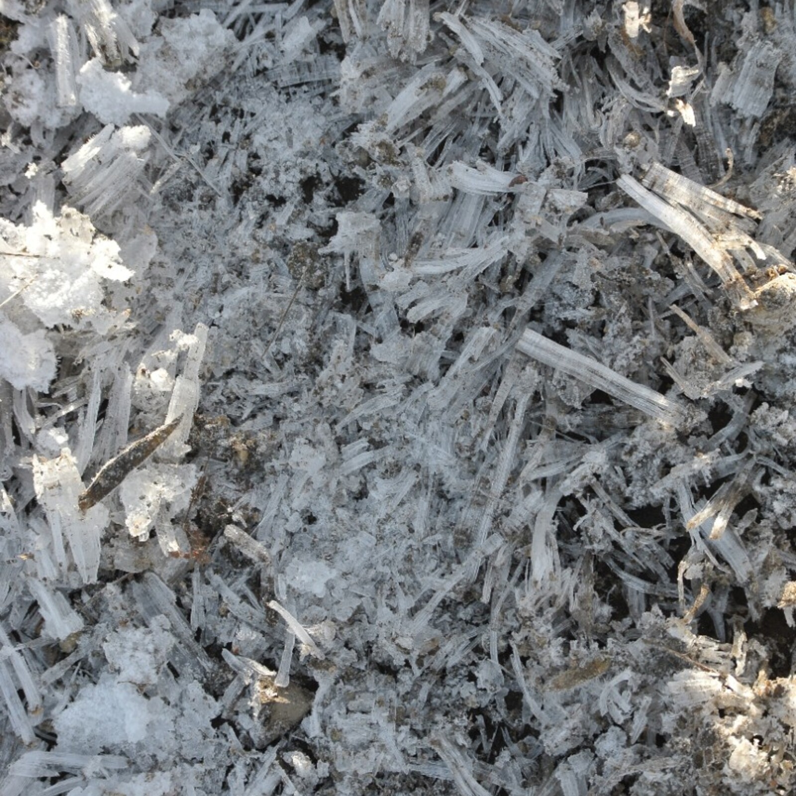 今日、食べたい、飲みたい、やりたい☀️