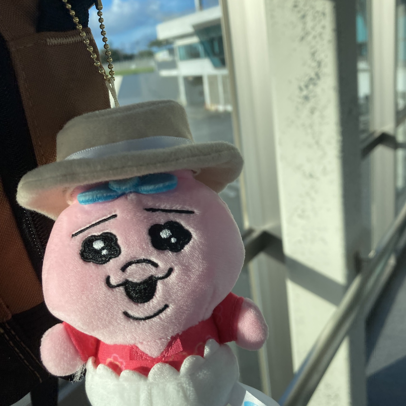 おぱらー茨城支部🐇