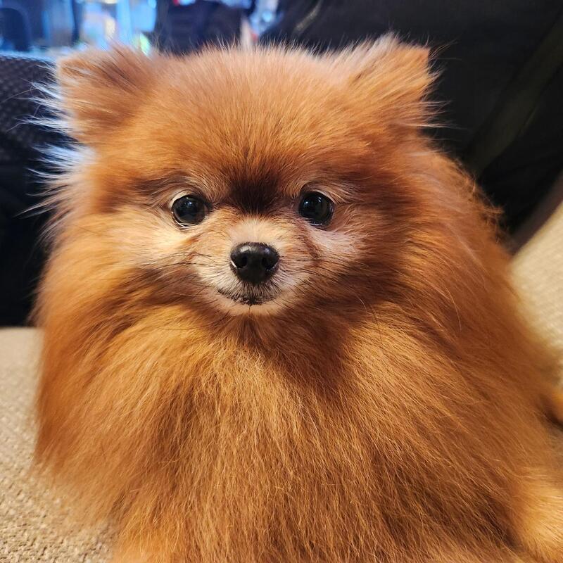 動物好きでつながろう会🐾 