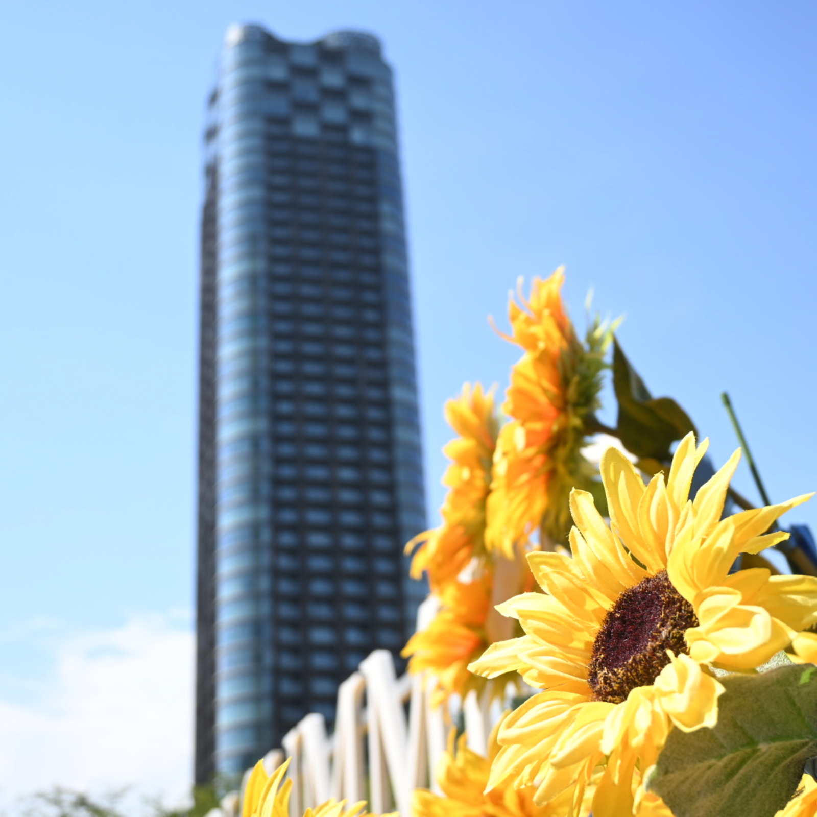 ポートレート撮りあいっこ