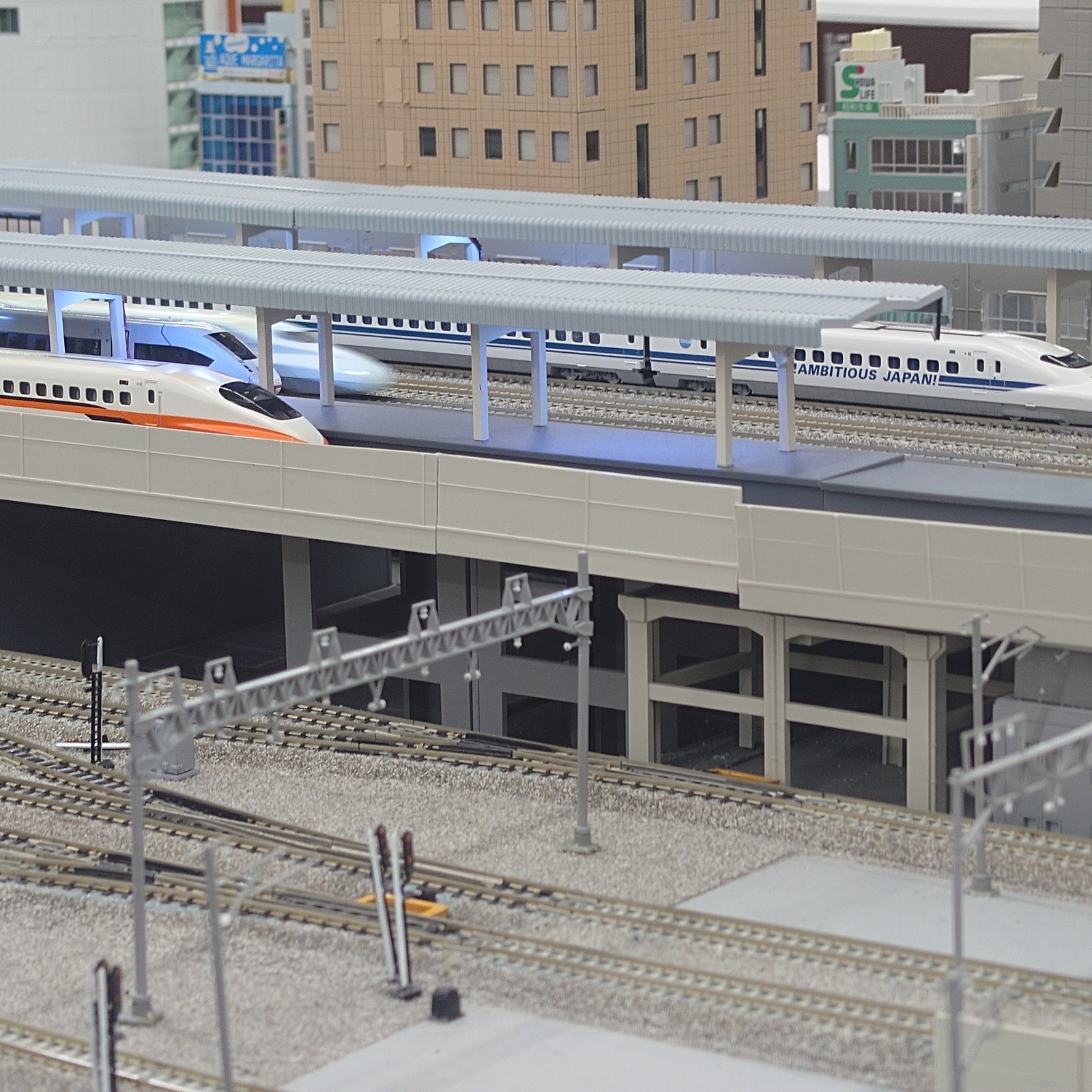 インターナショナル運転会