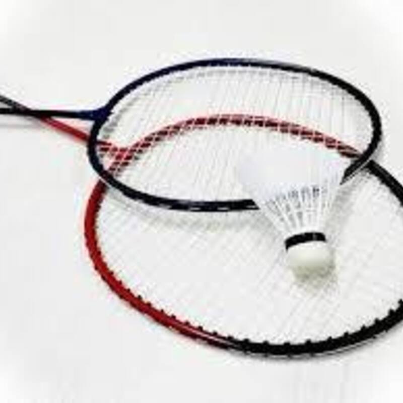 バドミントン会