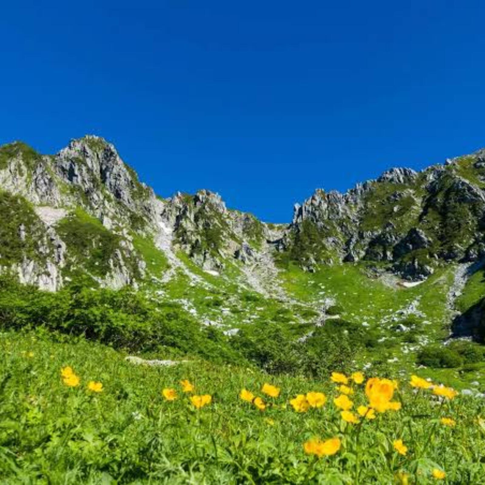 40〜50歳、山好きの交流トレッキング（山トレ）