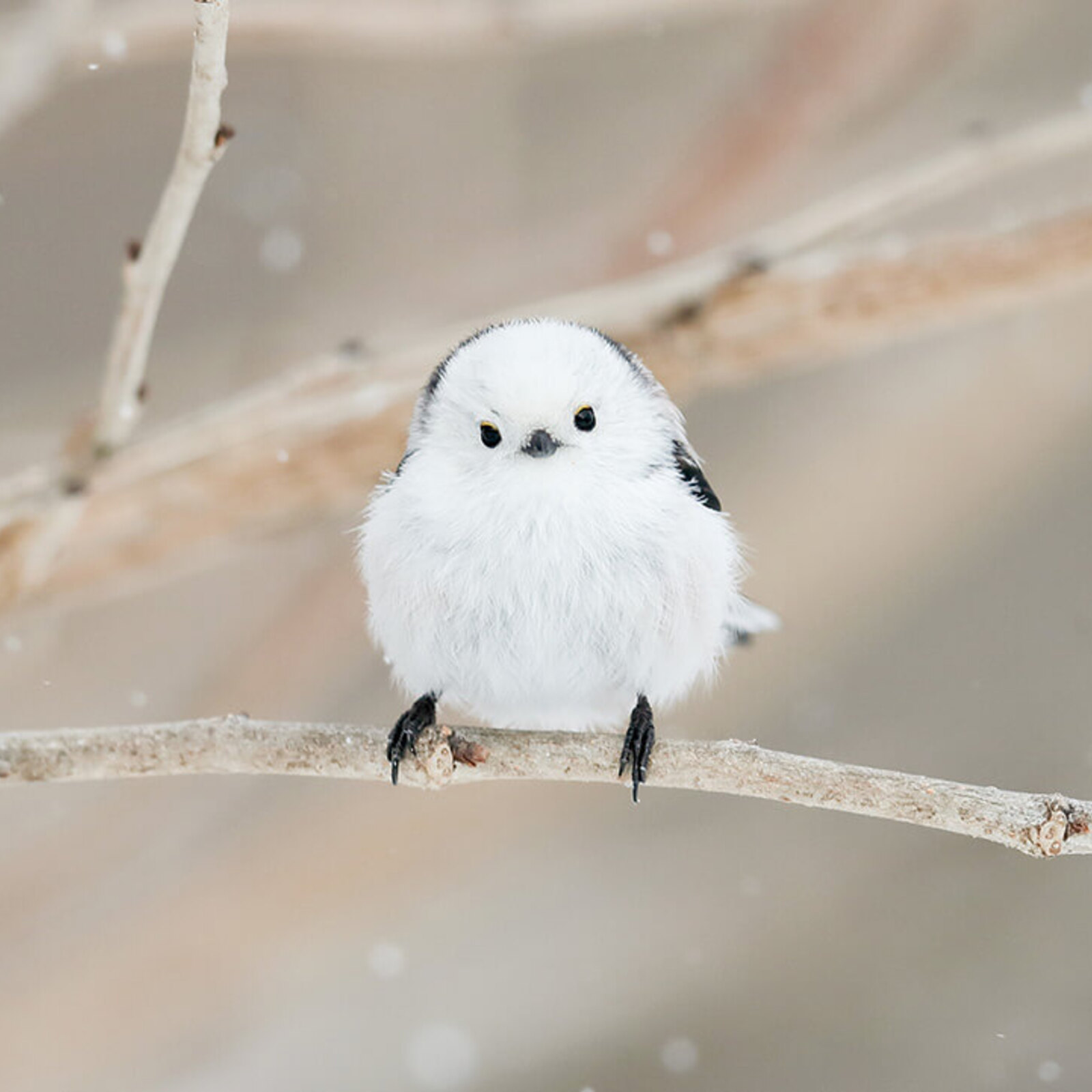 20代と30代のつながり⭐️チャレンジ企画掲載