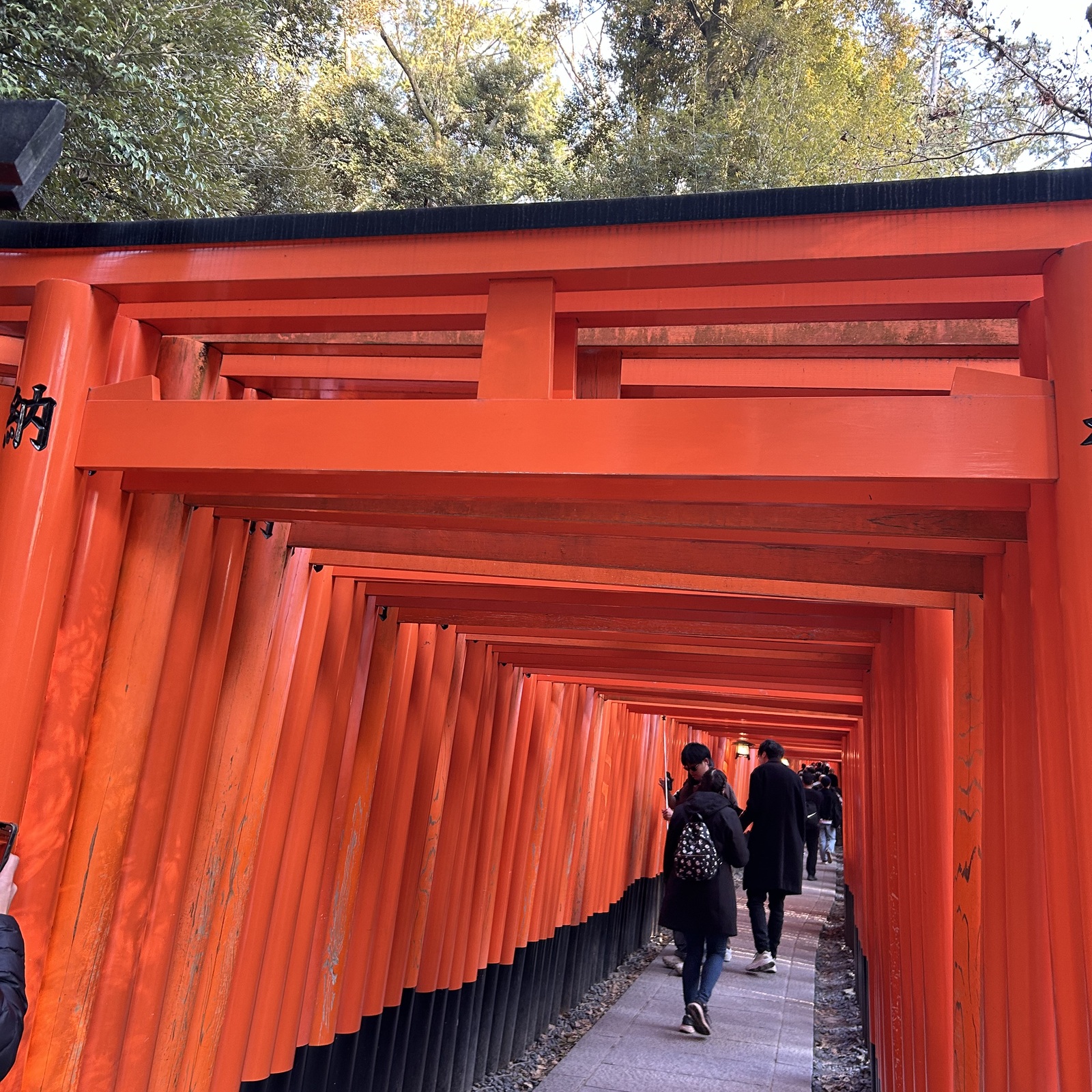 歴史文学民俗…共通の話題で語り合いたい！