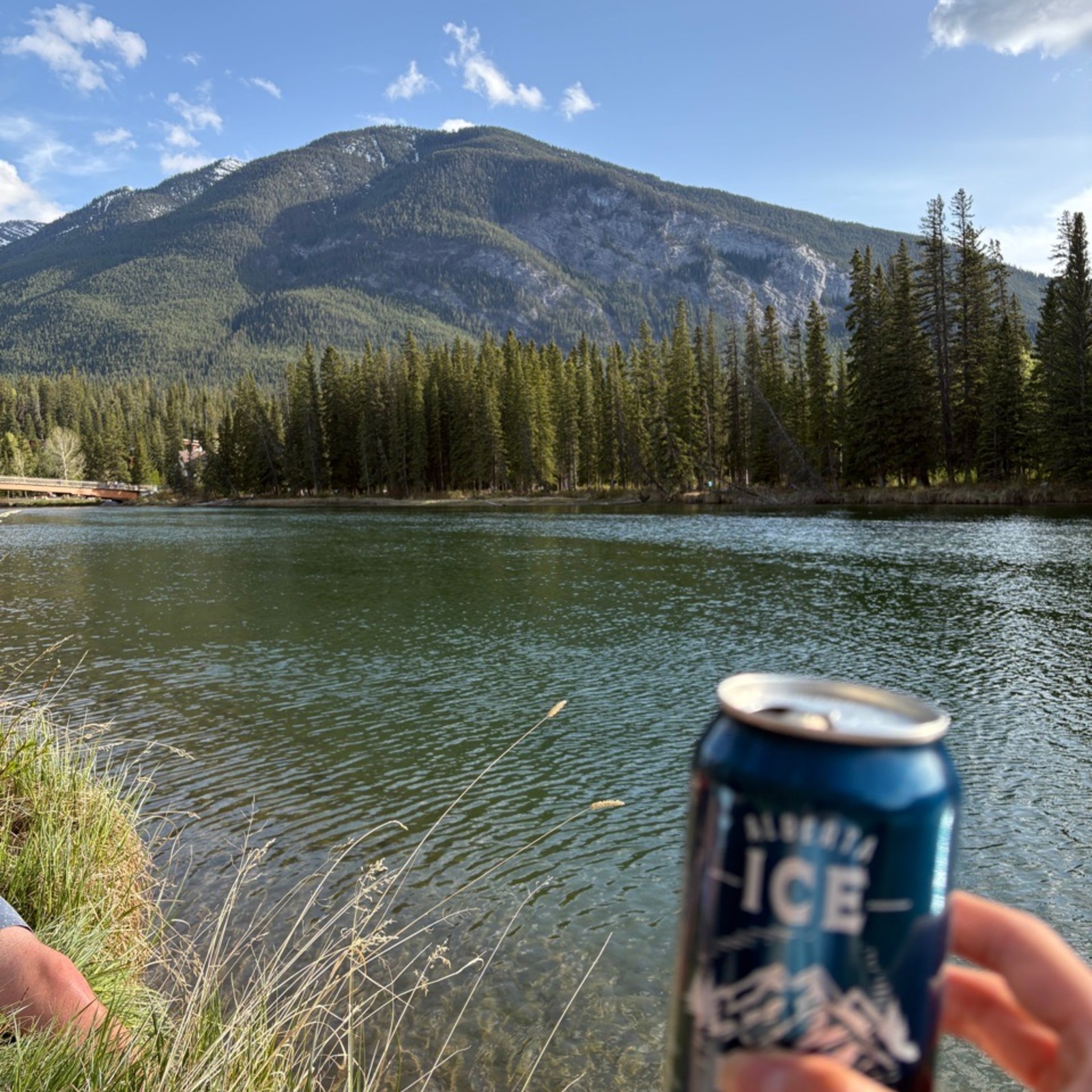 英語を勉強する仲間が欲しい！！