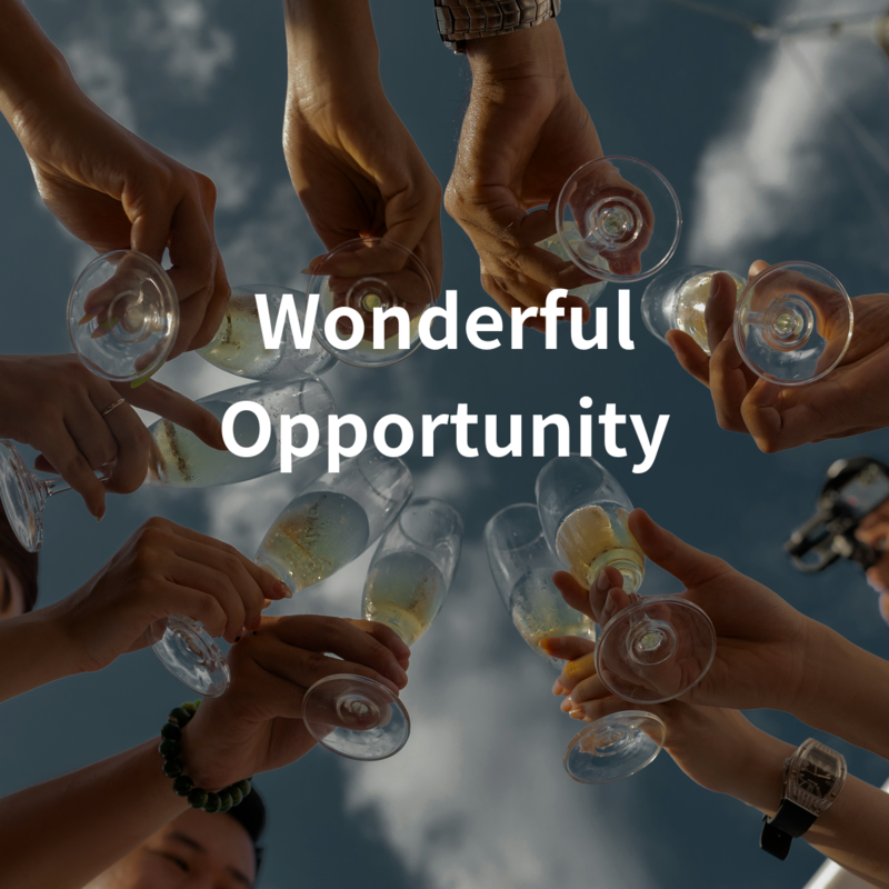 Wonderful Opportunity