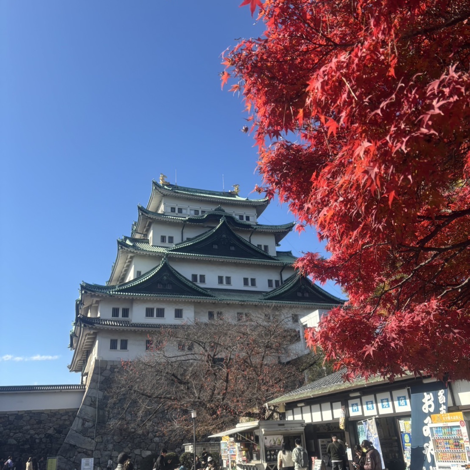 おひとりさまさま会