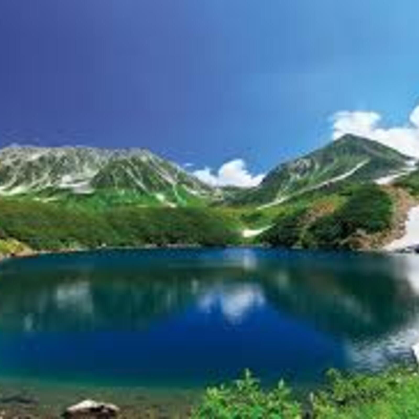 国内お出かけ&散歩したい