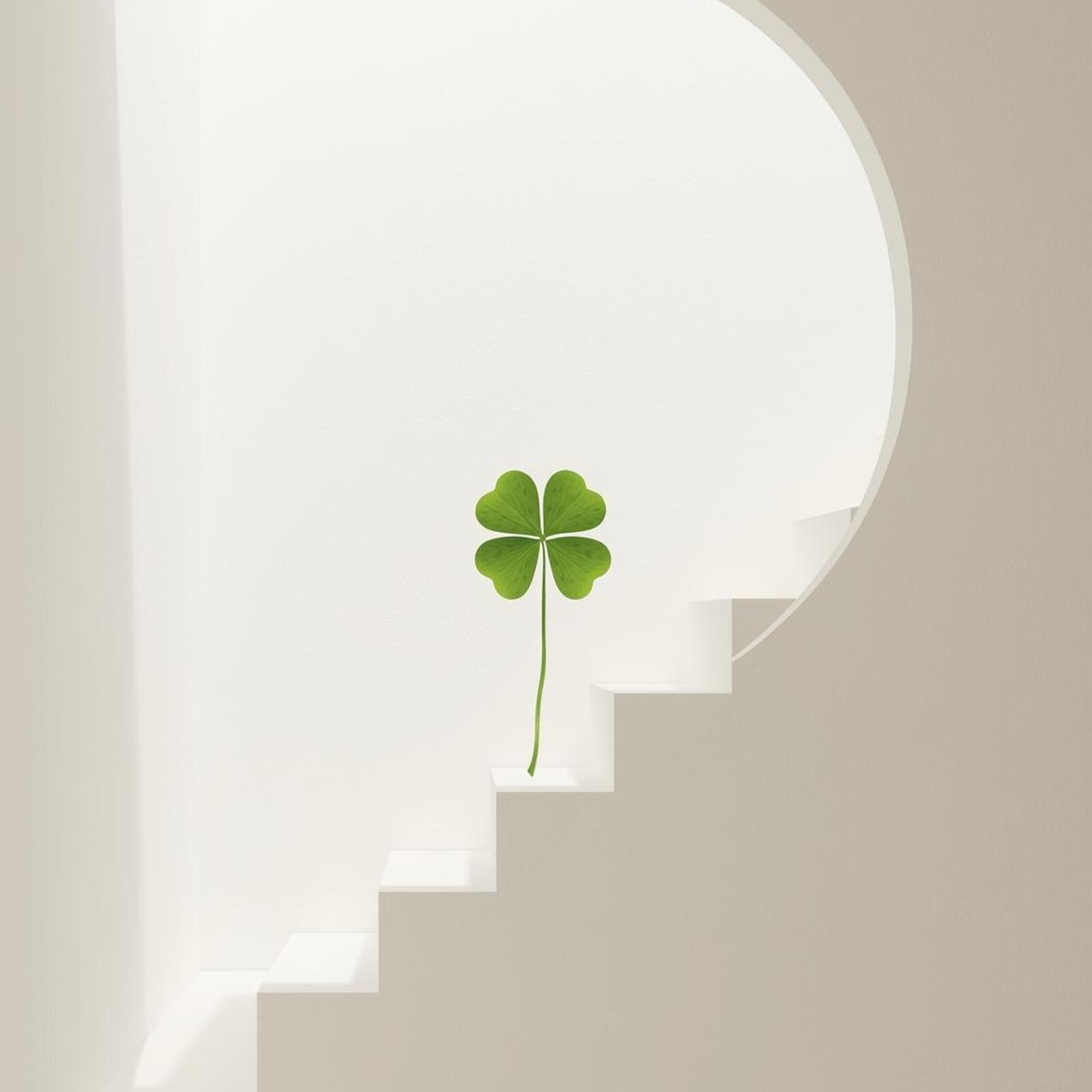 やりたい事で働く会〜環（ワ）〜