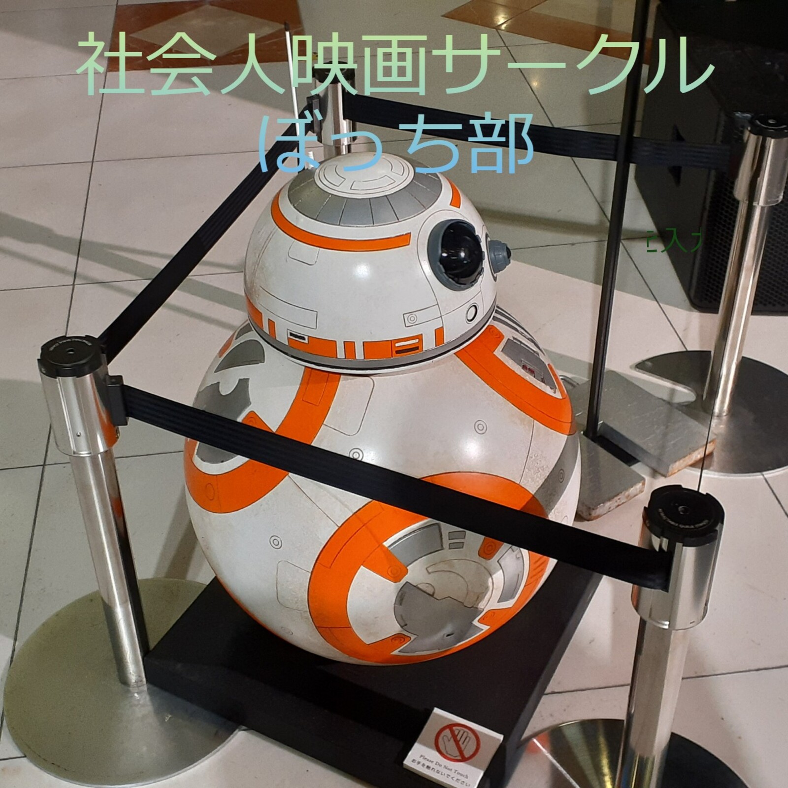 社会人映画サークル「ぼっち部」