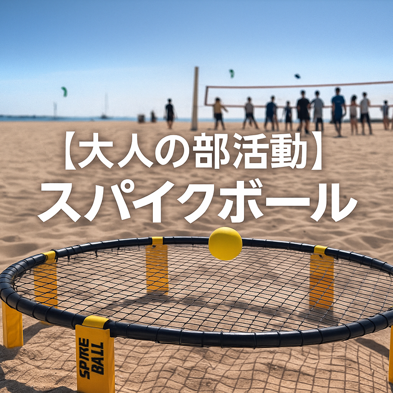 大人のスパイクボール部🏐🎾