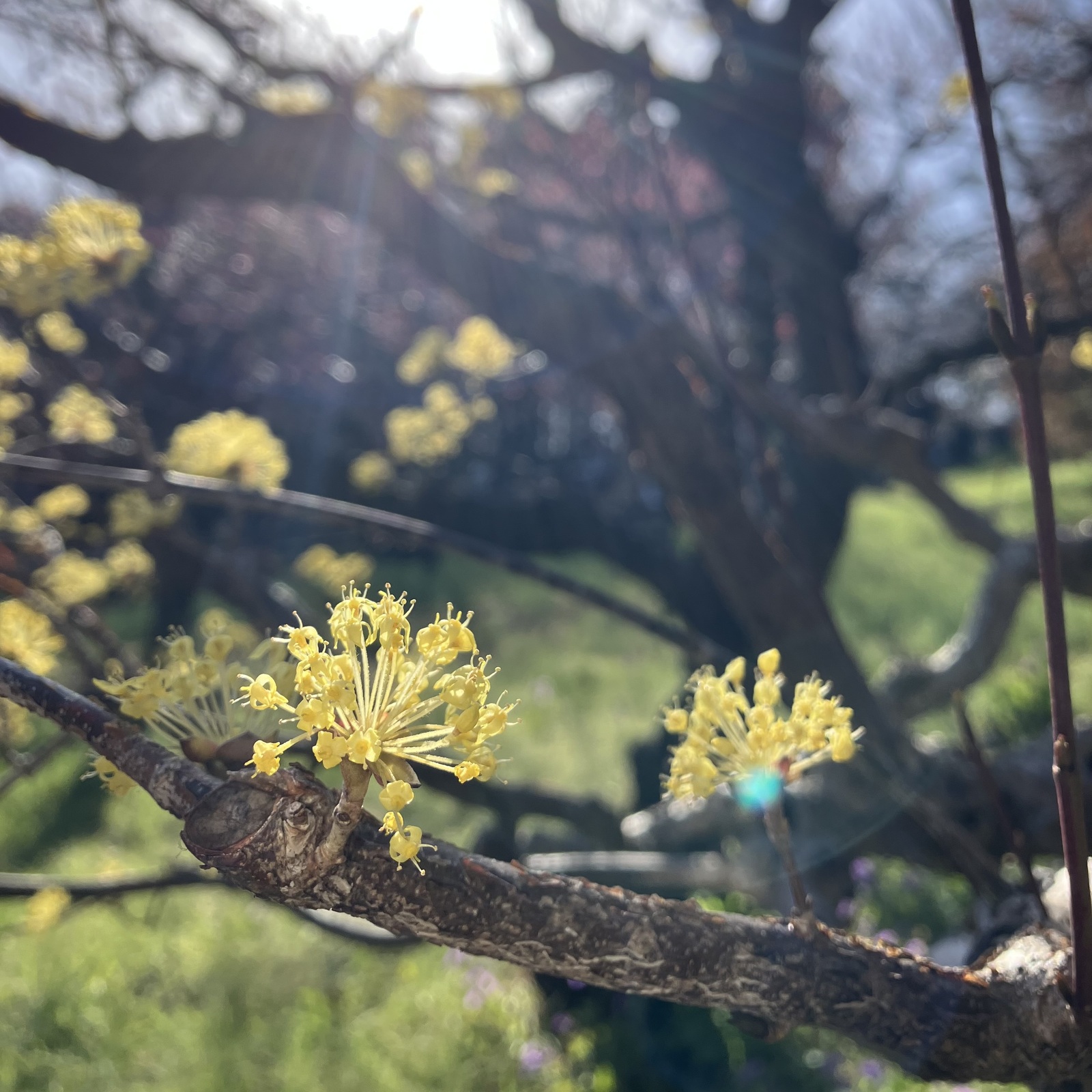 よりみち開拓クラブ
