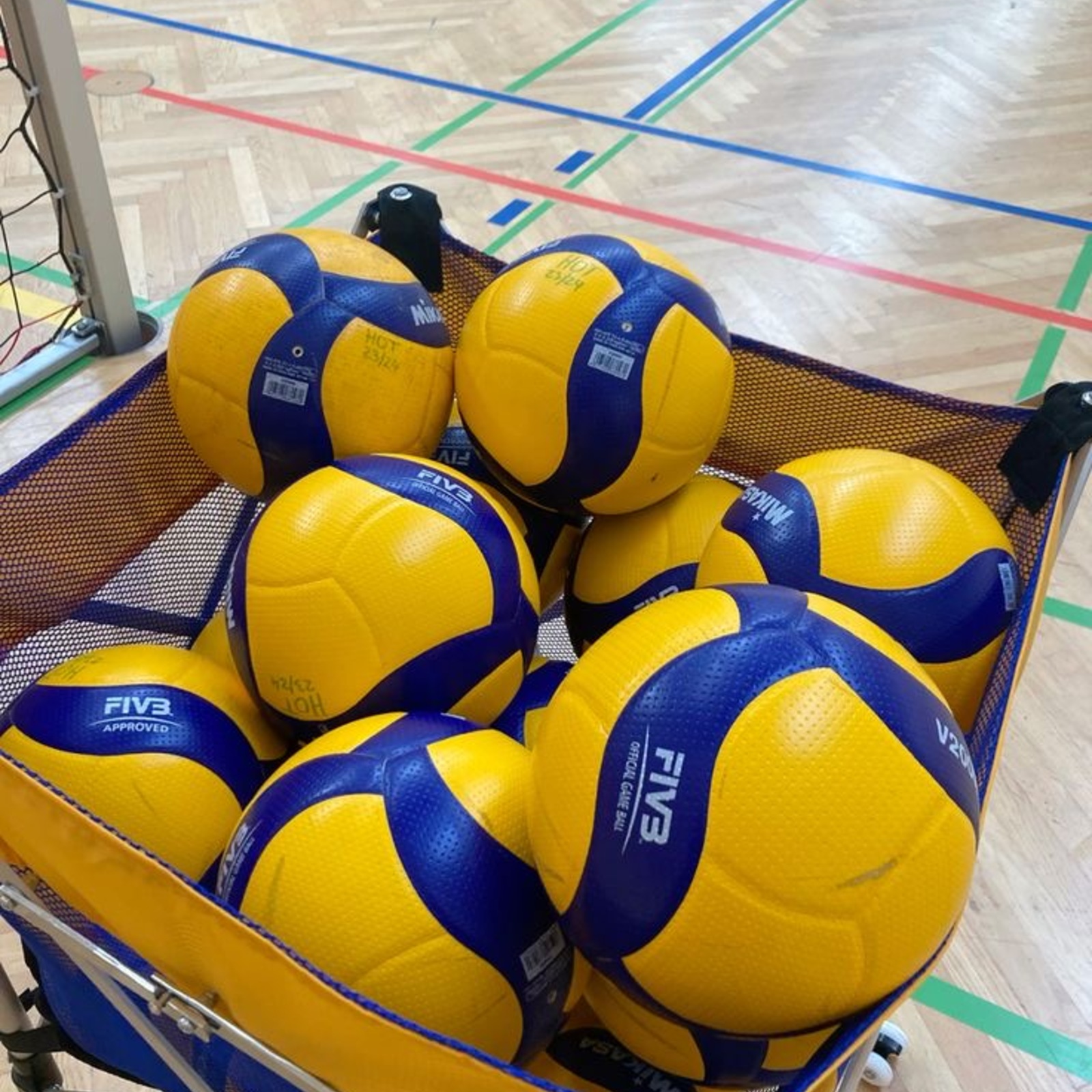 男女混合バレーボールサークル（20代〜30代）