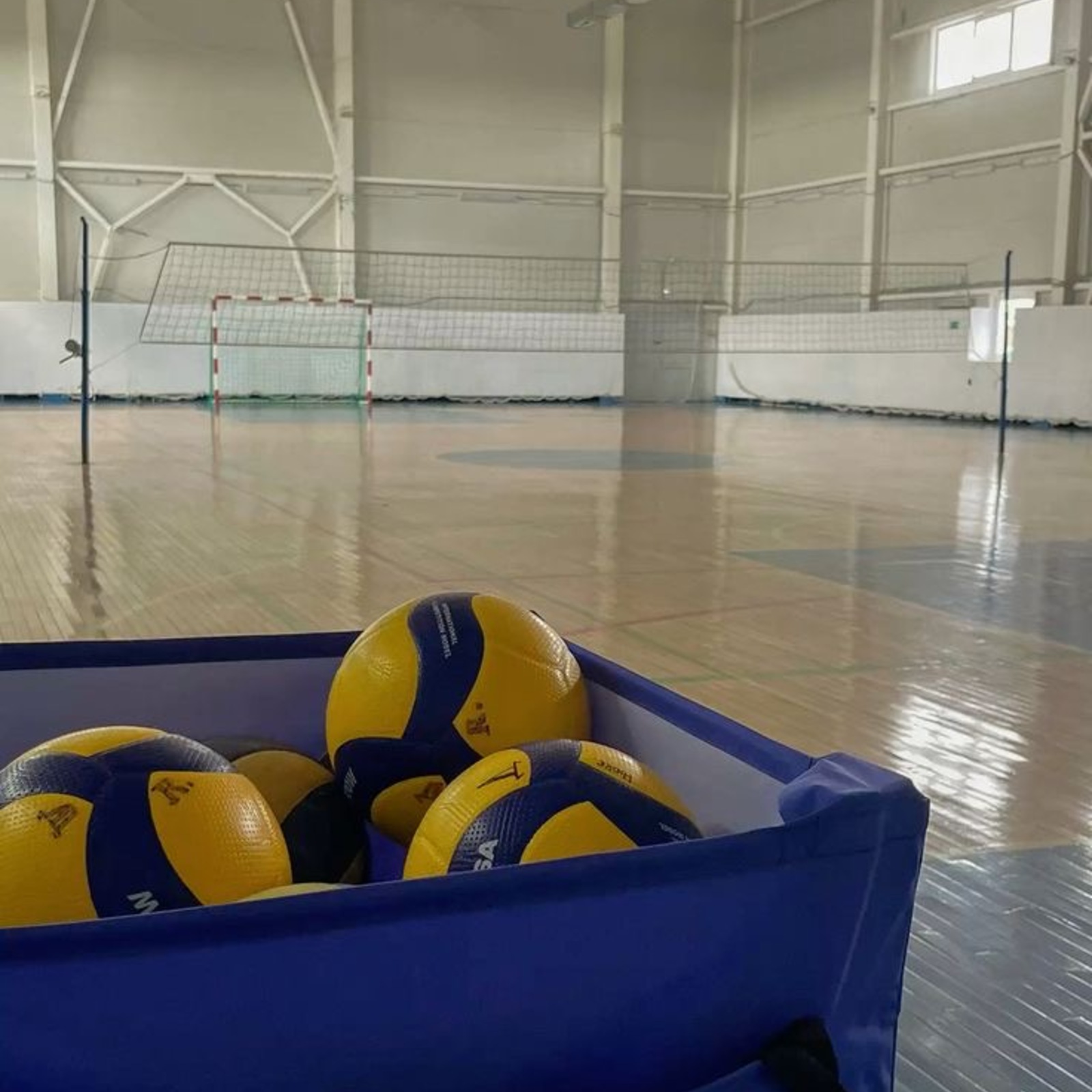 男女混合バレーボールサークル（20代〜30代）