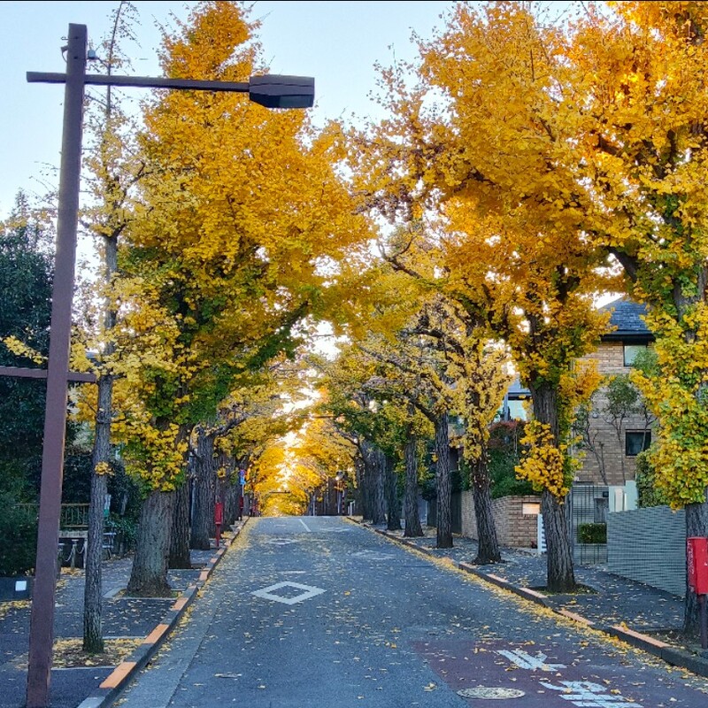 早起きは少し苦手