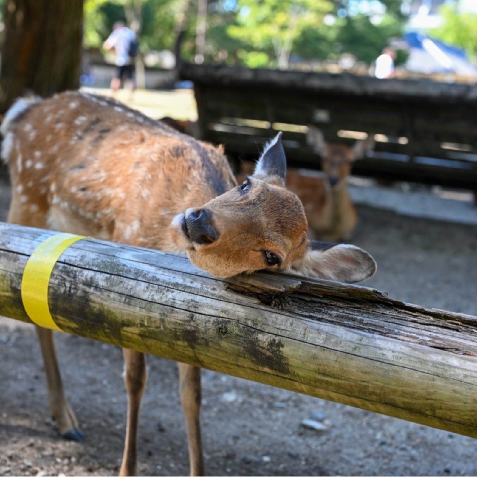📷人生を愉しむ会📷
