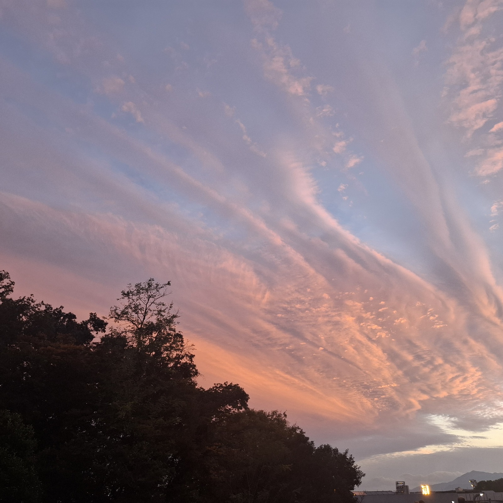 コミュ力を鍛え隊