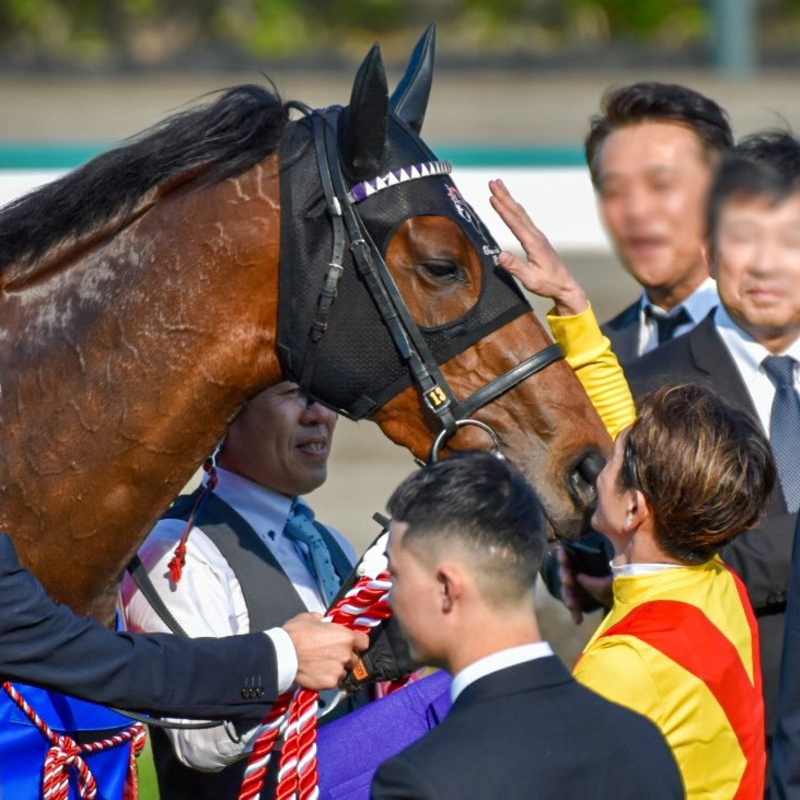 umauma競馬サークル