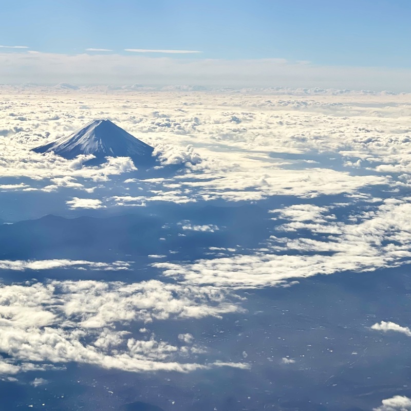 @おとなの遠足🦒