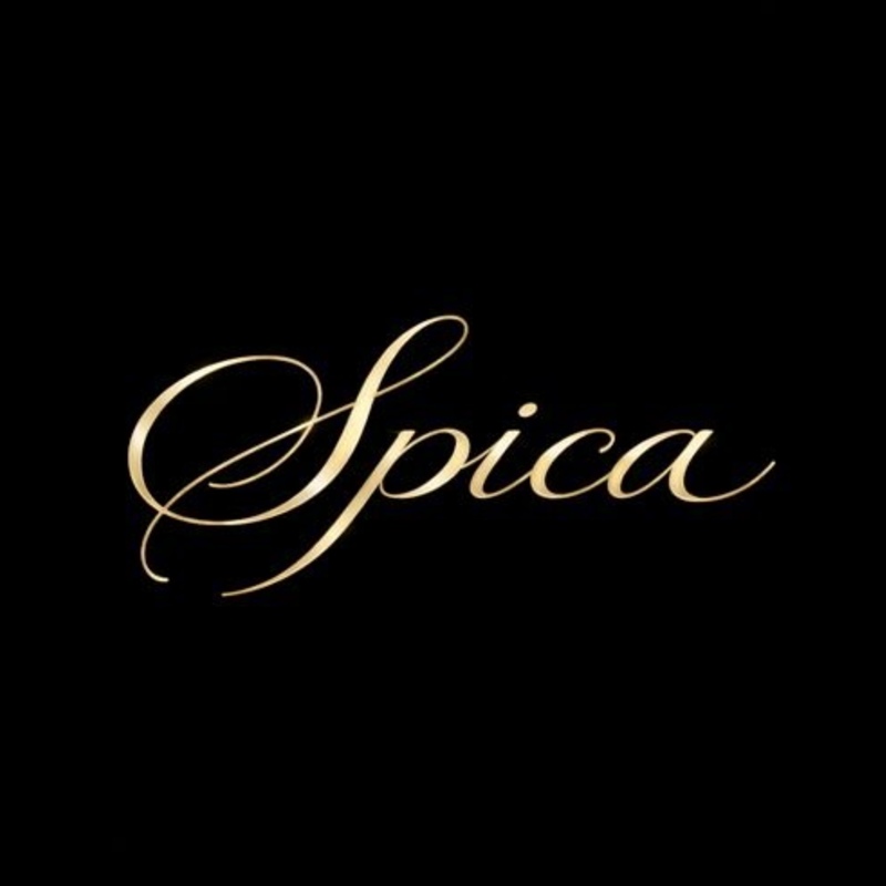 Spica【社会人⚾️野球ファンサークル】
