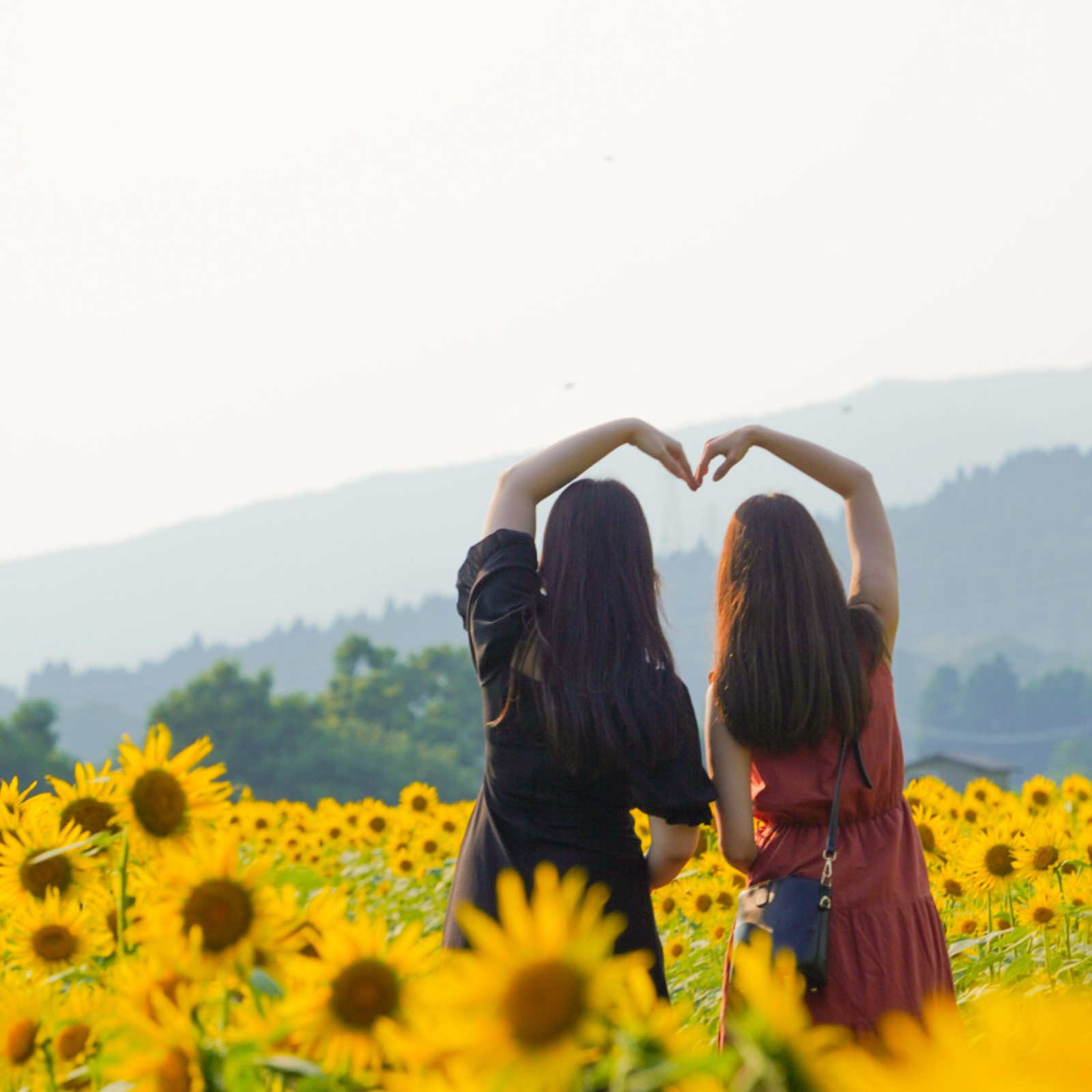 ながさきフォトウォーク🐾📷