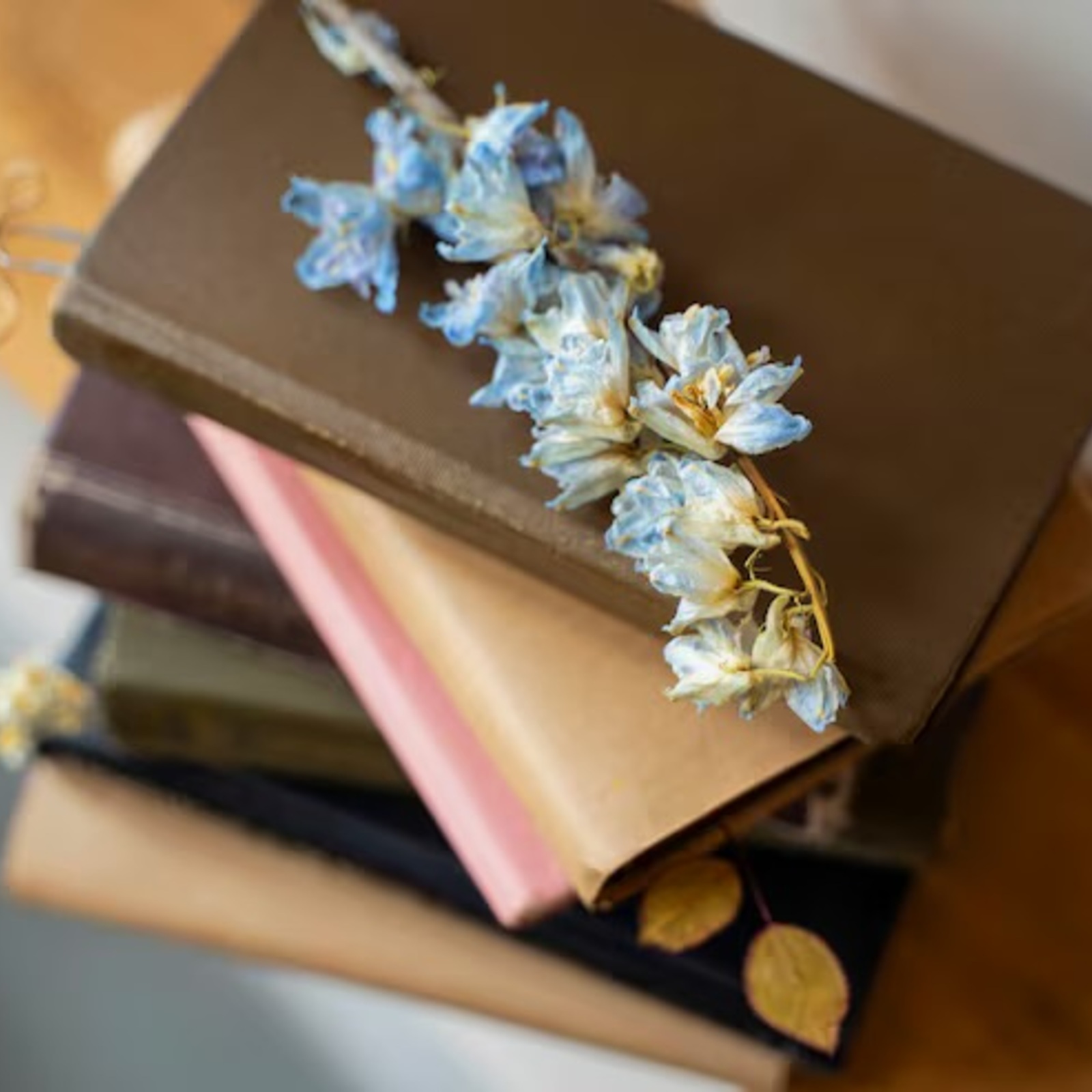 読書会サークル