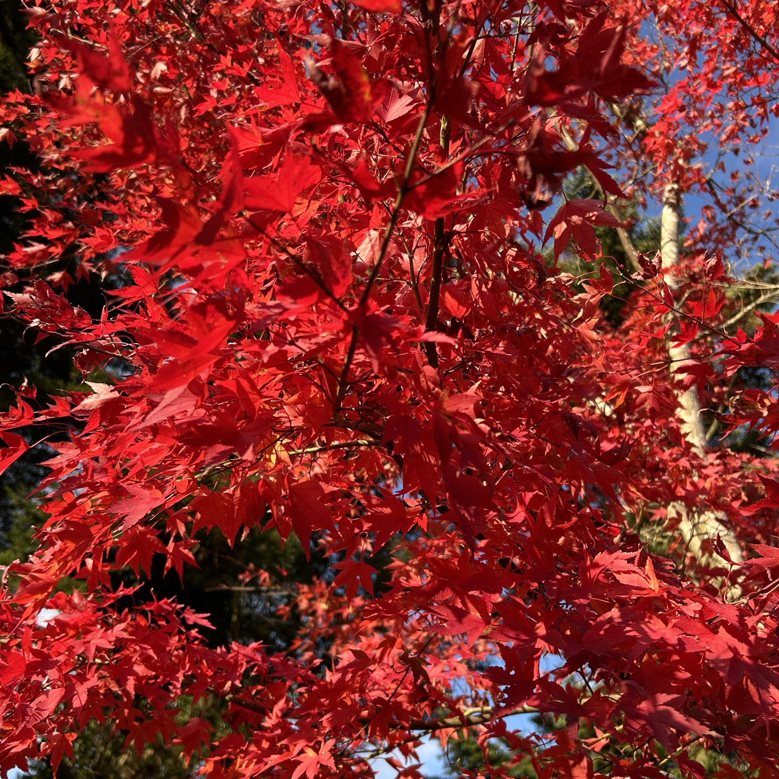 心のお悩み相談会！あなたのお悩み聞かせて下さい。