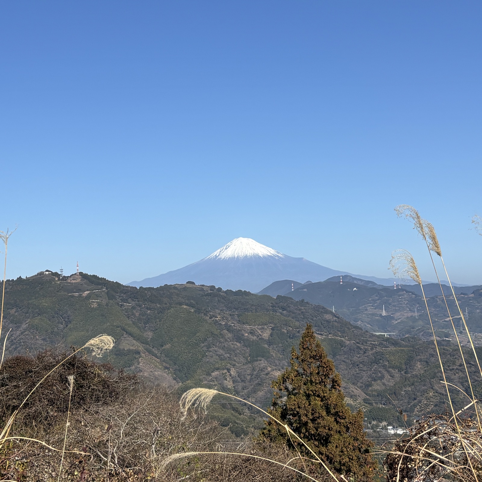 ゆる数学 朝活Labo