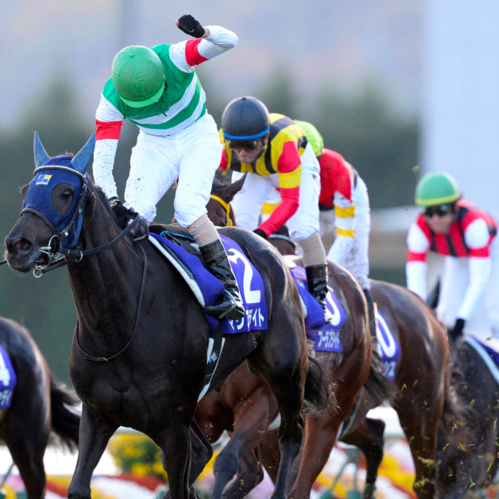 競馬はスポーツです