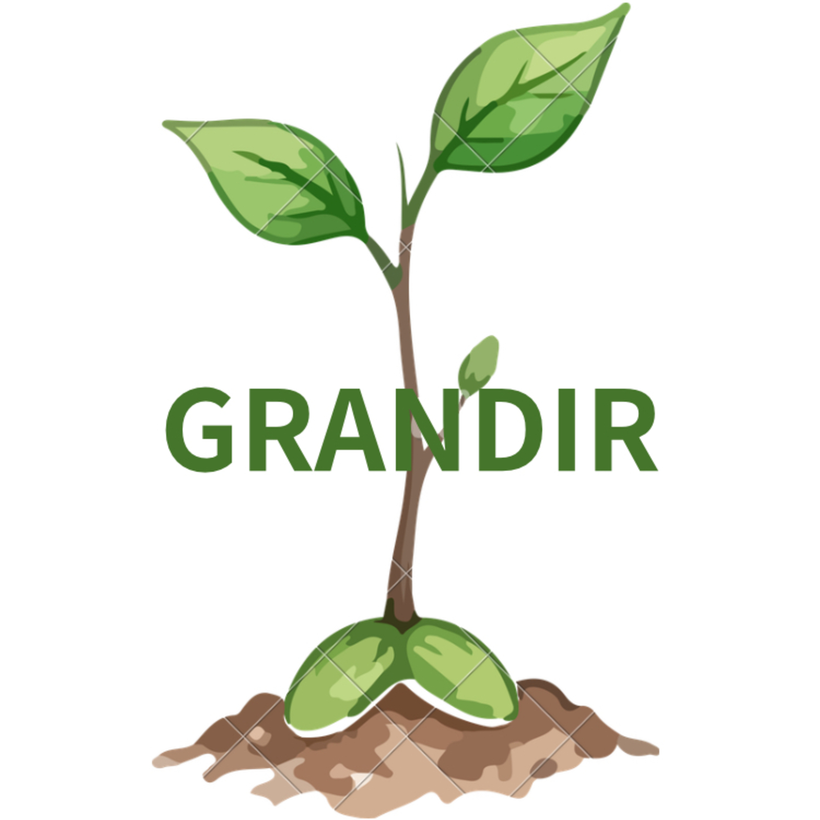 社会人コミュニティ【GRANDIR】