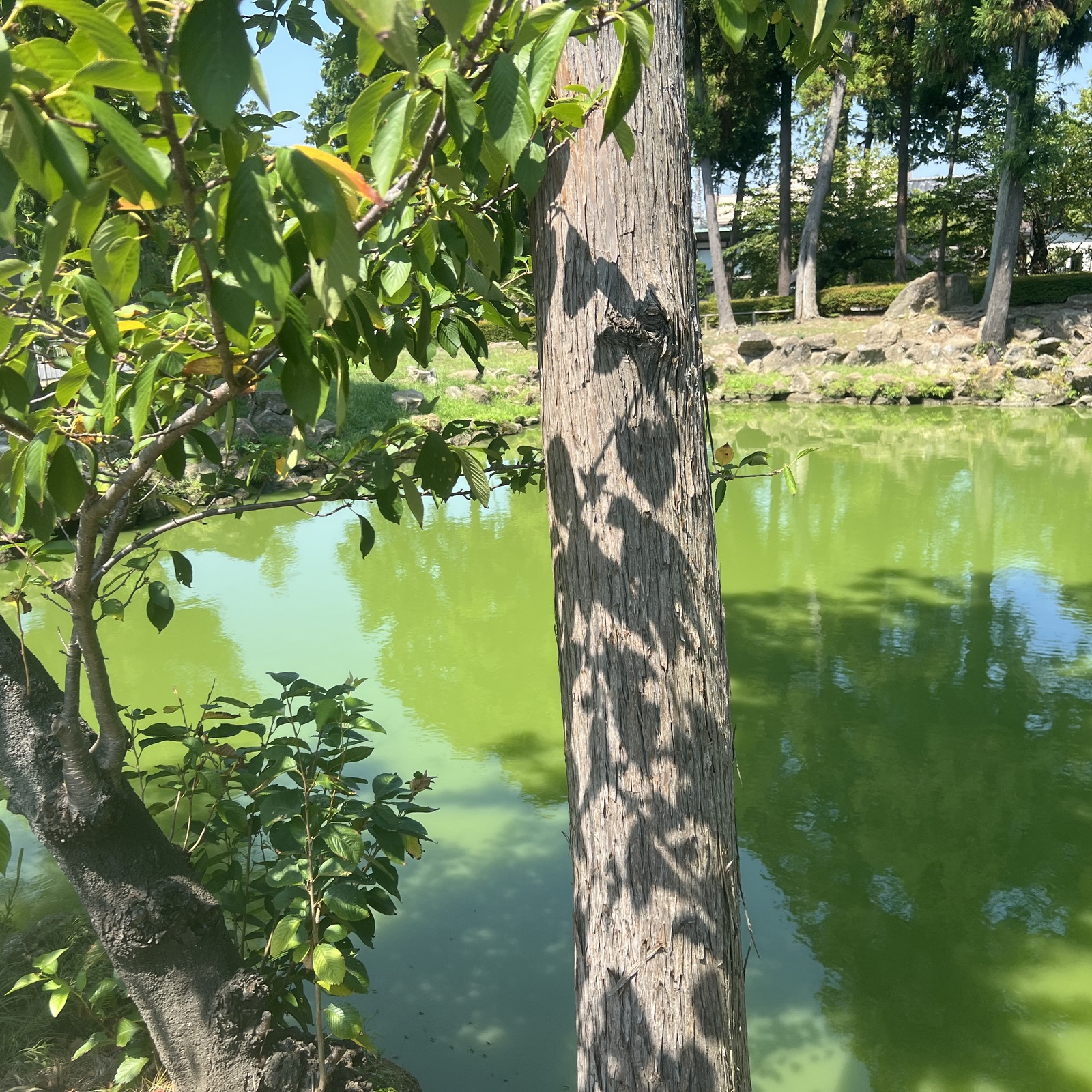 アウトドア
