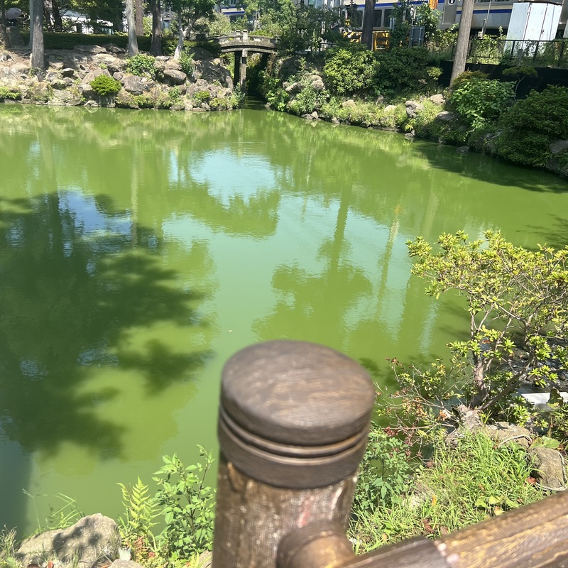 募集用のサークルです！