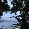 Circle Image