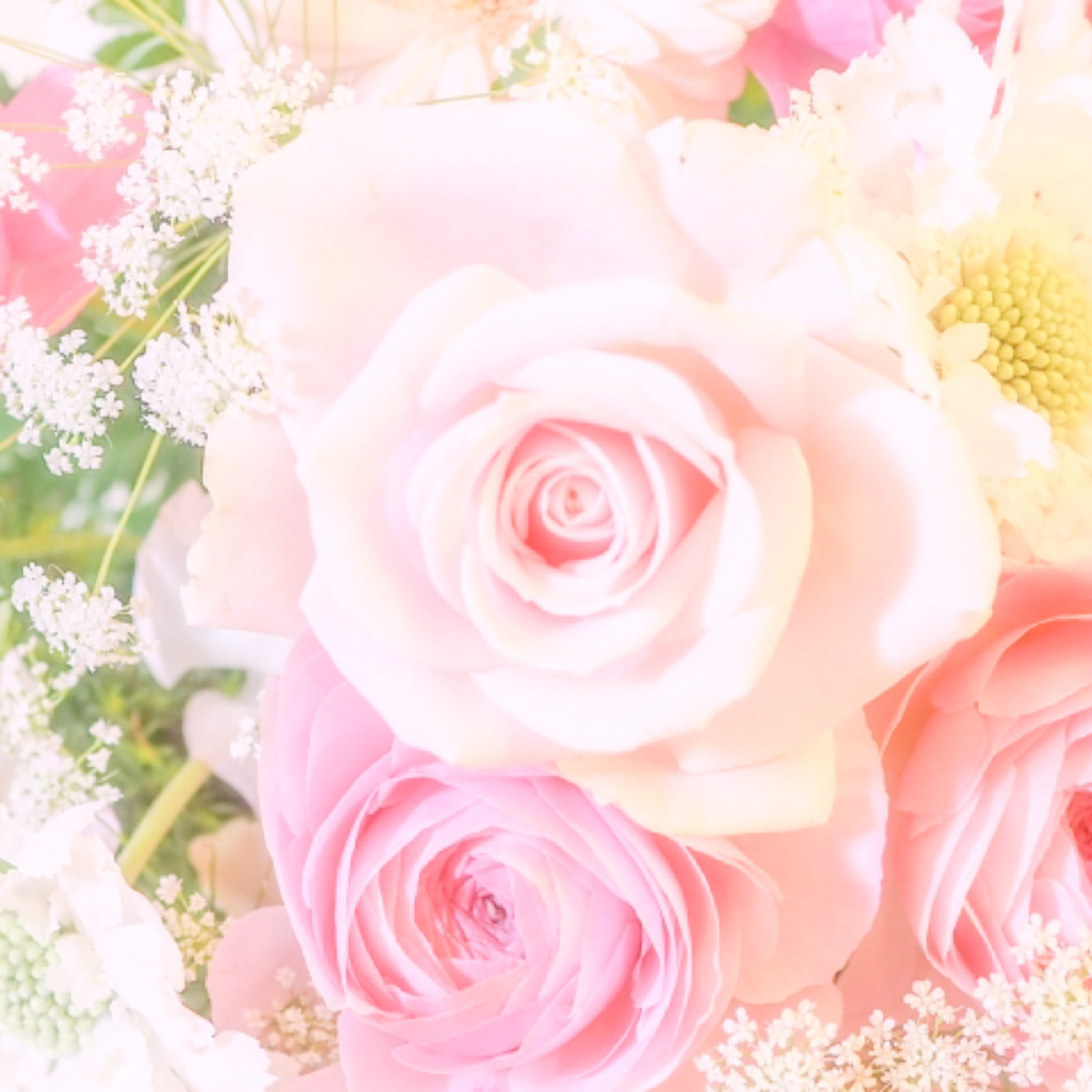 元JW主催交流会