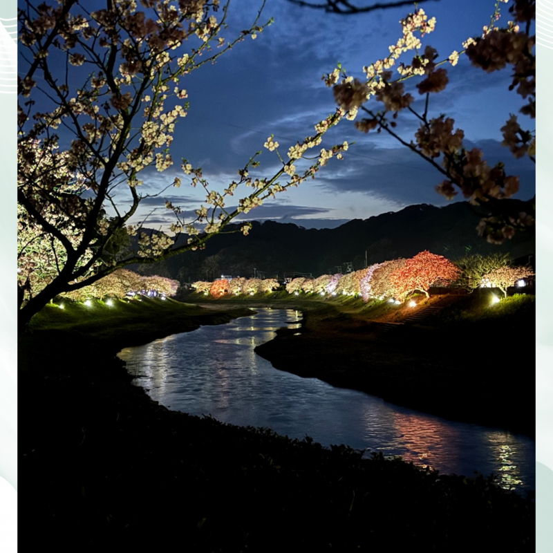 SHIZUOKA×(シズオカカケル)