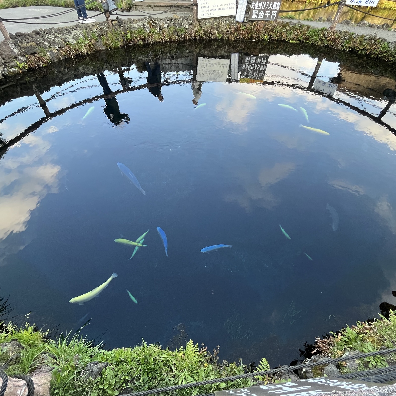 野球観戦サークル