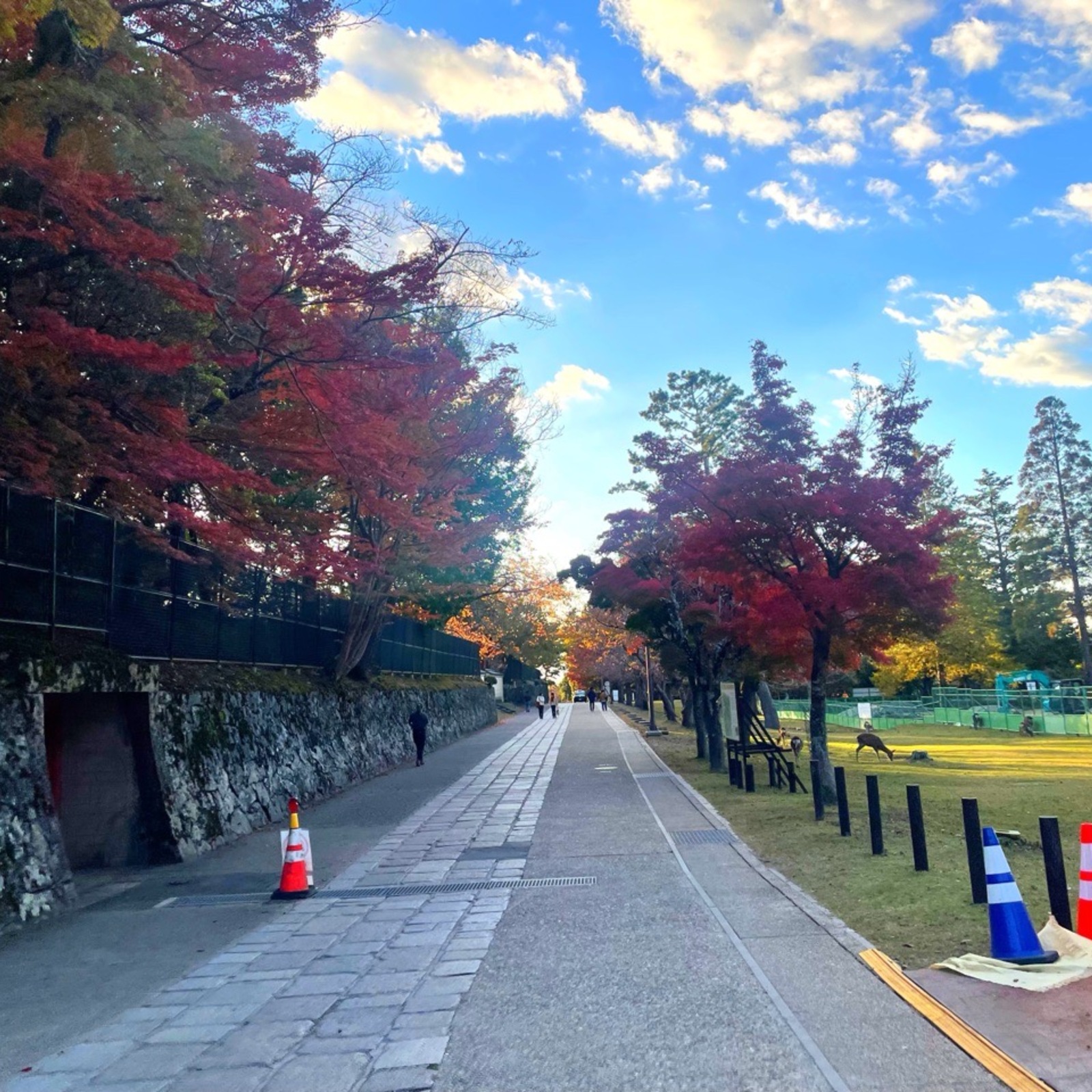 余白のひととき🐈