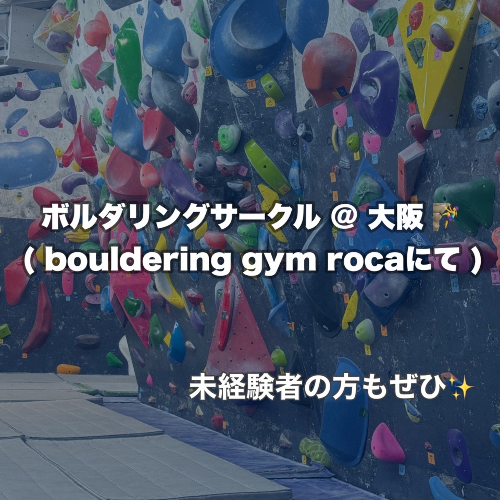 ボルダリング🧗サークル@大阪