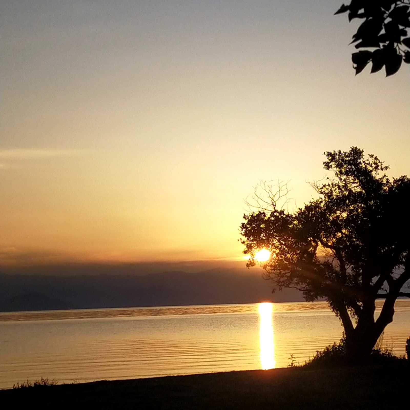 ソロキャン同好会