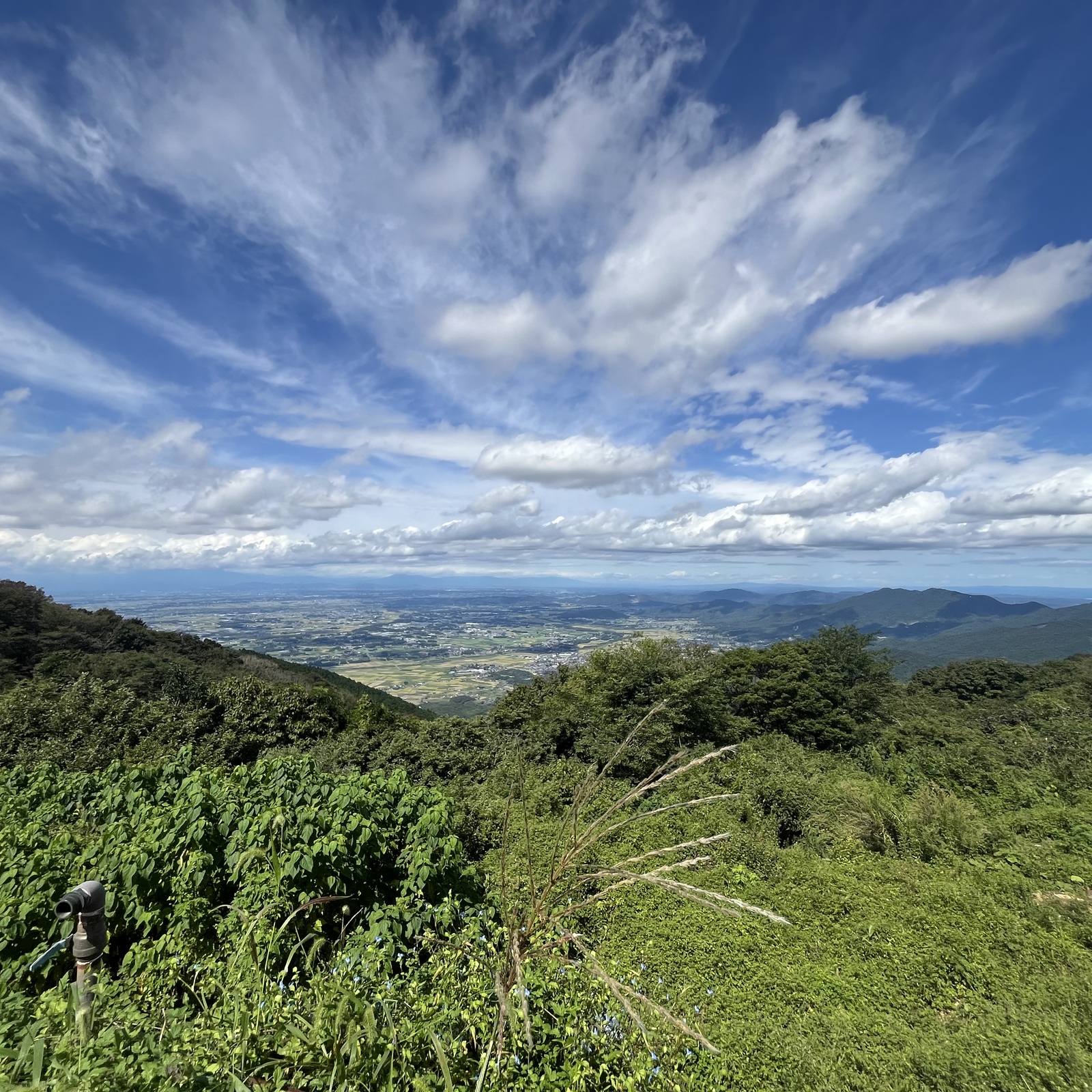 暇するつくば人達