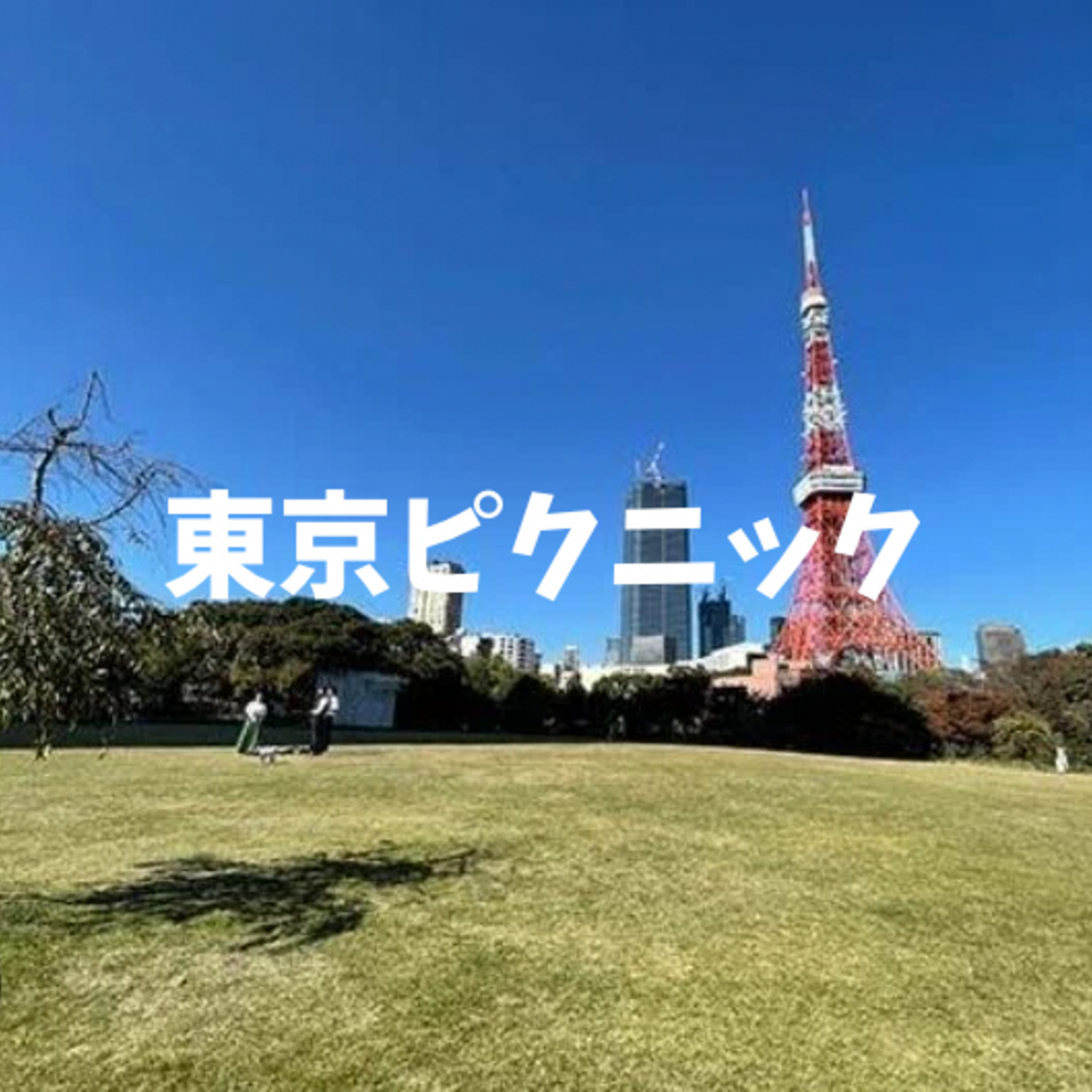 東京ピクニック部