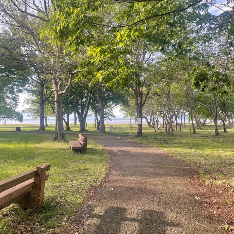 【20代〜30代】同年代の本・映画・芸術の語らいカフェ📖