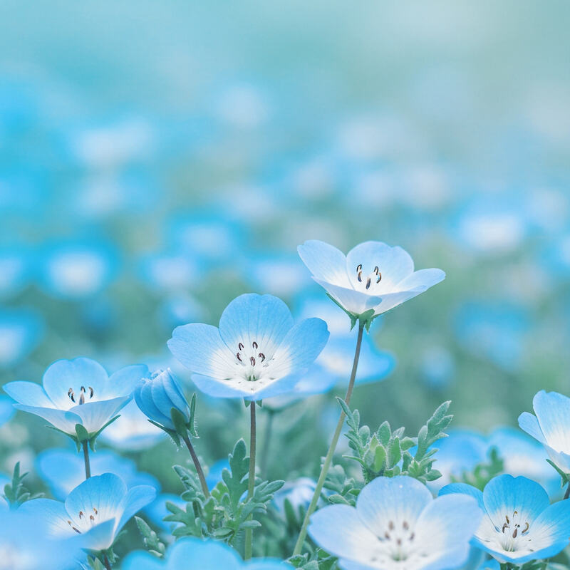 ゆるり女子会🌸