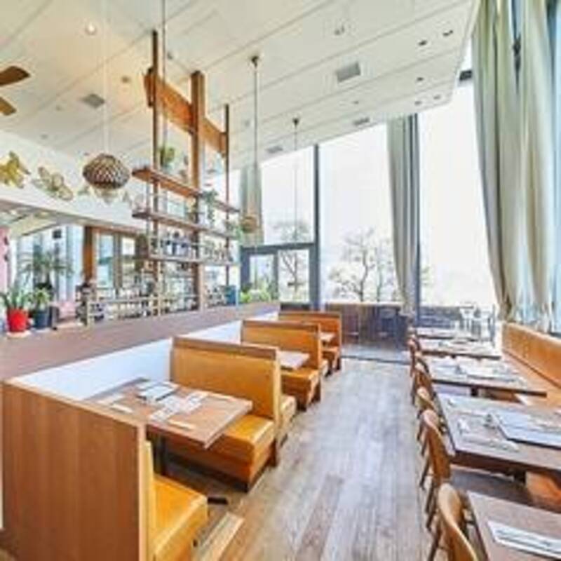 チャイコとカモネギ