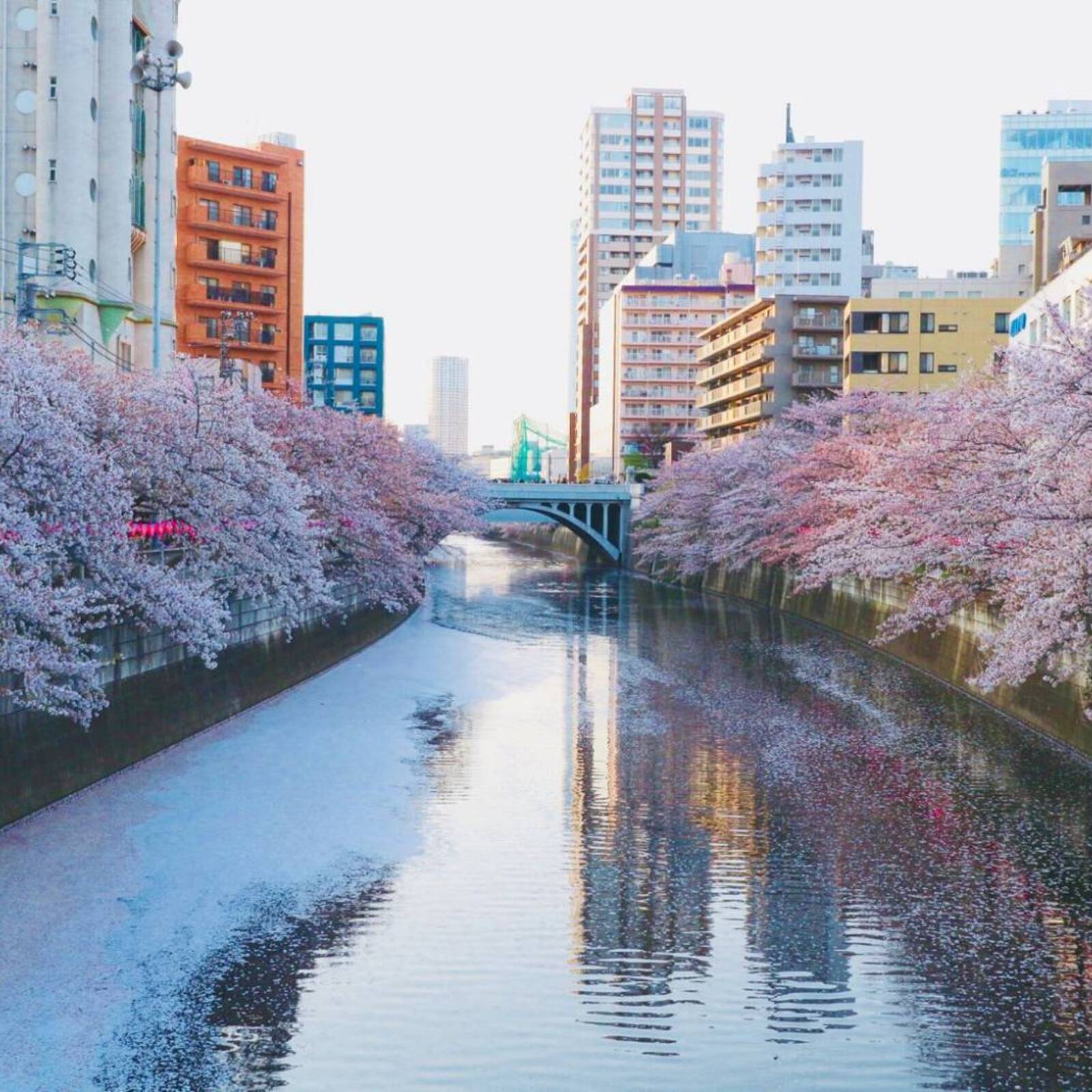 フラワーカンパニー